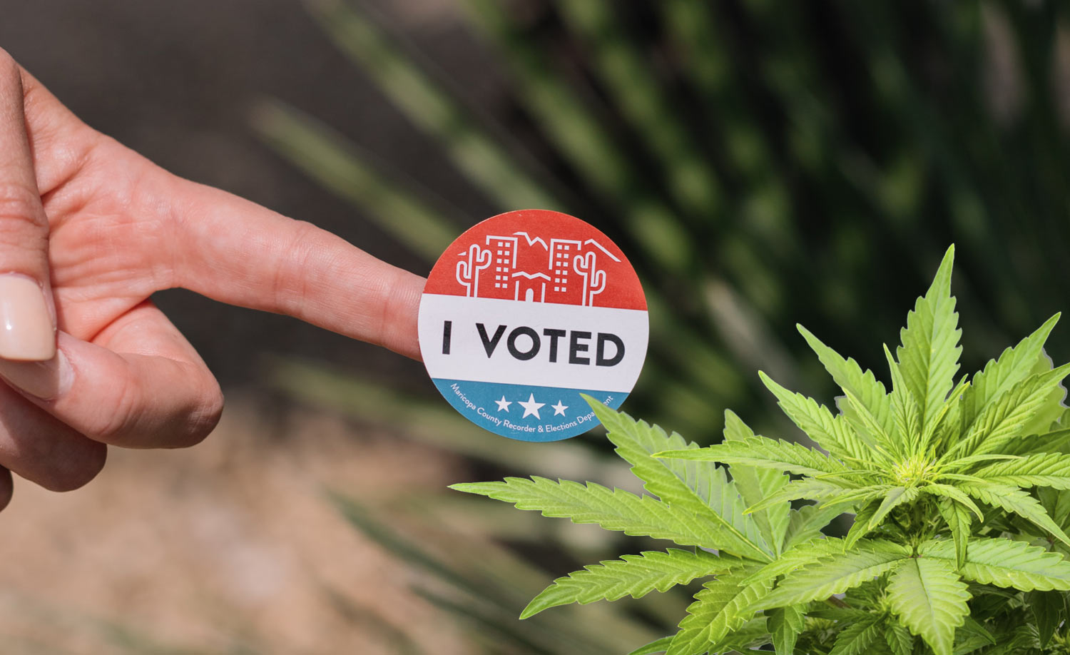 2020 Election Watch for the Cannabis Industry